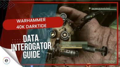 Data Interrogator Guide