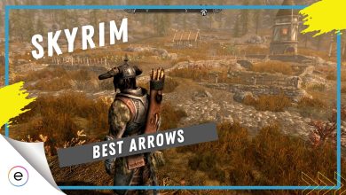 Best Arrow in Skyrim.