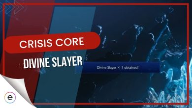 Divine Slayer in Crisis Core