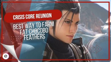 Fat Chocobo Feather Crisis Core Reunion