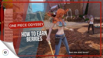 Berries In One Piece Odyssey 