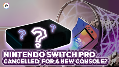Nintendo Switch Pro Canceled for a New Console