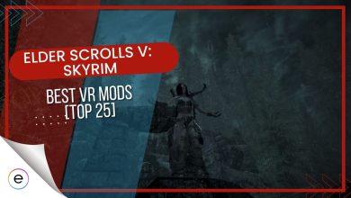 Guide for Skyrim VR Mods