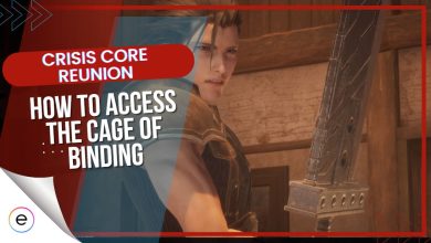 Cage Of Binding Crisis Core Reunion