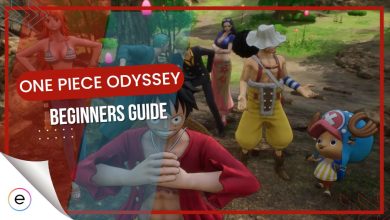 Beginners Guide One Piece Odyssey