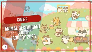 Complete guide on how to redeem Animal Restaurant Codes