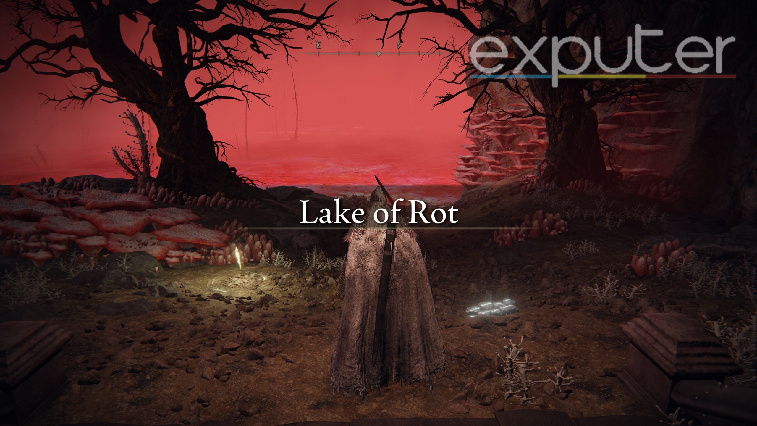 elden ring lake of rot