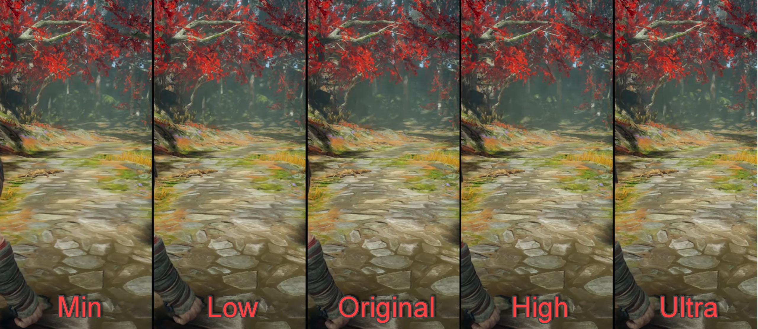 GOW Anisotropic Filtering
