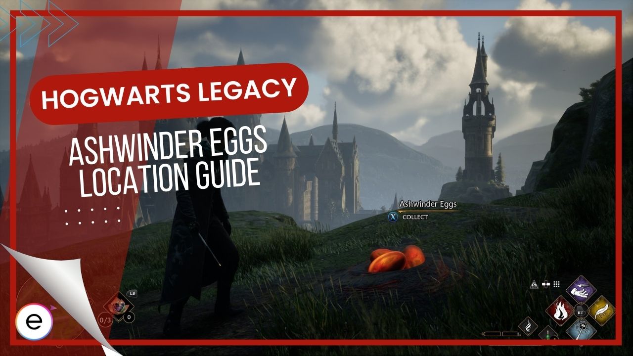 Ashwinder Eggs Locations in Hogwarts Legacy