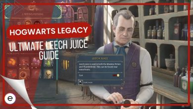 The Ultimate Hogwarts Legacy Leech Juice