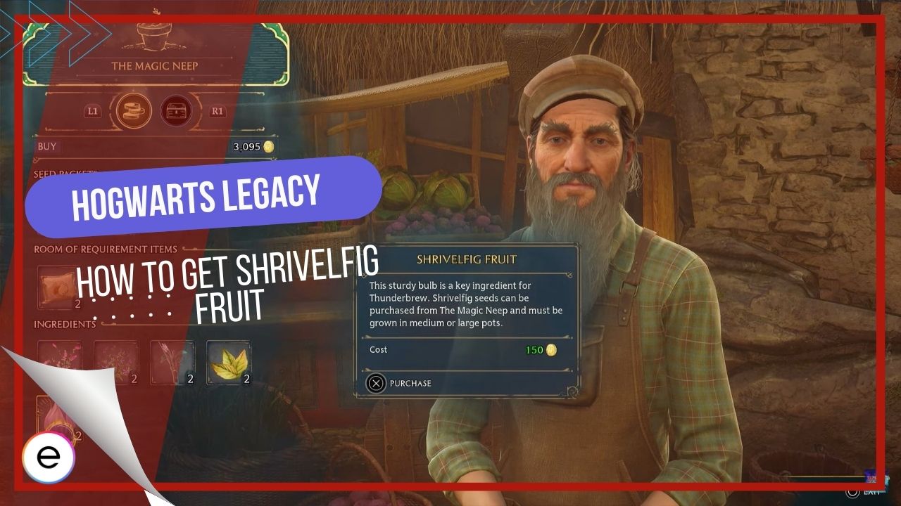 Hogwarts Legacy how to get Shrivelfig Fruit