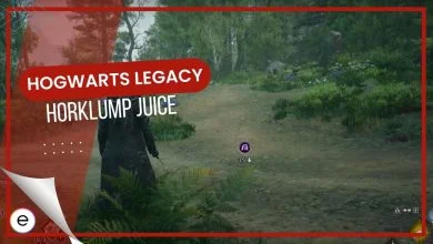 Hogwarts Legacy Horklump Juice