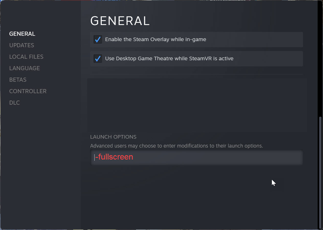 Forced Fullscreen in Steam Launch Options