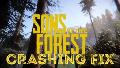 Sons of Forest Crashing Guide