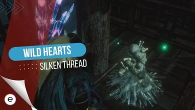 Silken Thread Wild Hearts