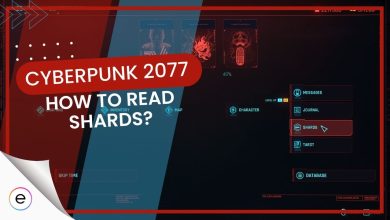 What are datashards in Cyberpunk 2077