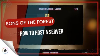 hosting server Sons of the forest