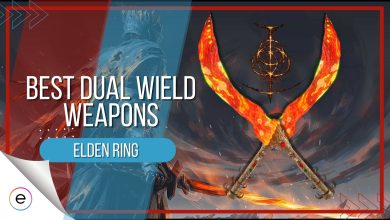 Best-Dual Wield Weapons Elden Ring