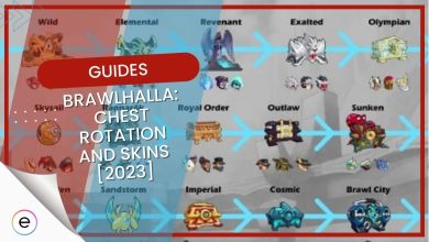 Chest Rotation and Skins in Brawlhalla