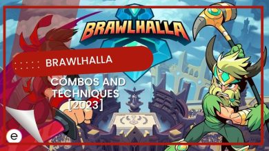 Guide on Brawlhalla Combos And Techniques