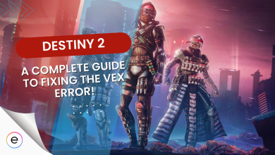 Destiny 2 vex input error