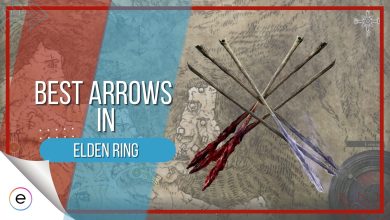 Best Arrows In Elden Ring