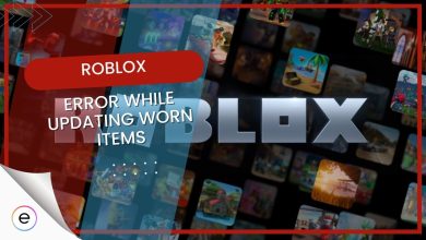 Error while updating worn items, Roblox guide