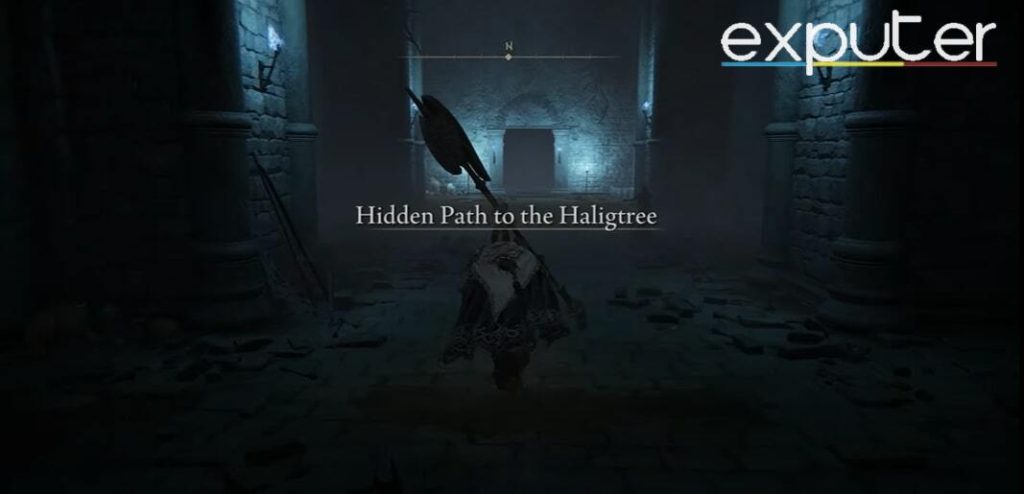 Hidden Path to the Haligtree