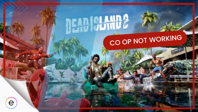 Fix Dead Island 2 Co-op Not Working
