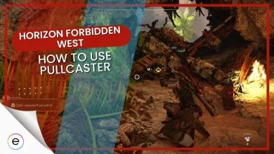 Guide on Horizon Forbidden West pullcaster