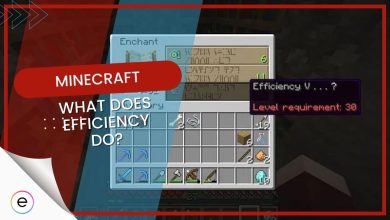 minecraft efficiency everything you need to know