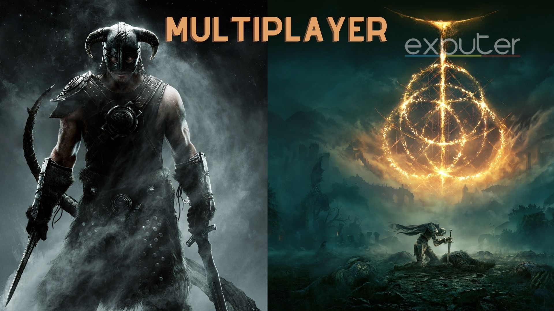 multiplayer.