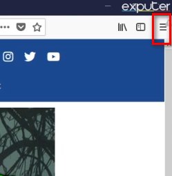 How to launch Options button in Firefox
