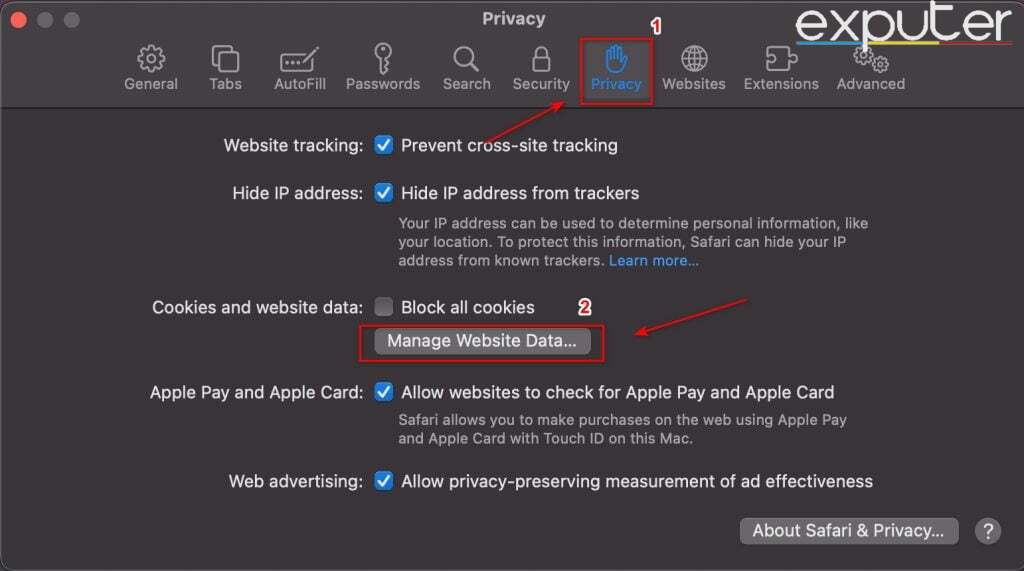 How to Open Manage Website Data - Privacy