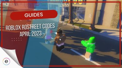 Active RoStreet Codes 2023