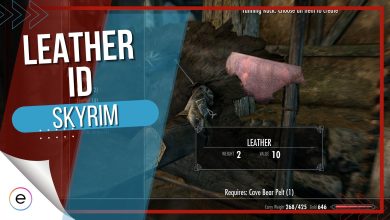 Leather ID in skyrim for console commands.