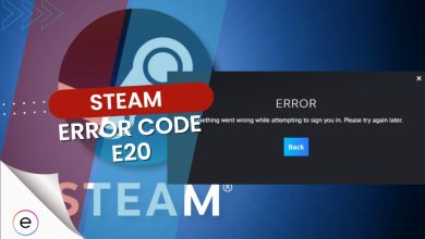 how to fix error code e20 steam