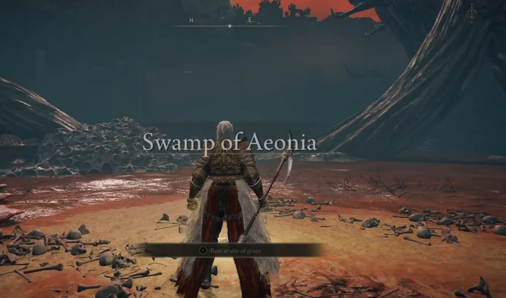 ER Swamp Of Aeonia