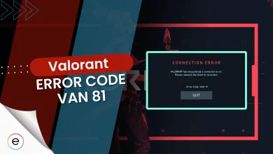 Valorant Error Code VAN 81