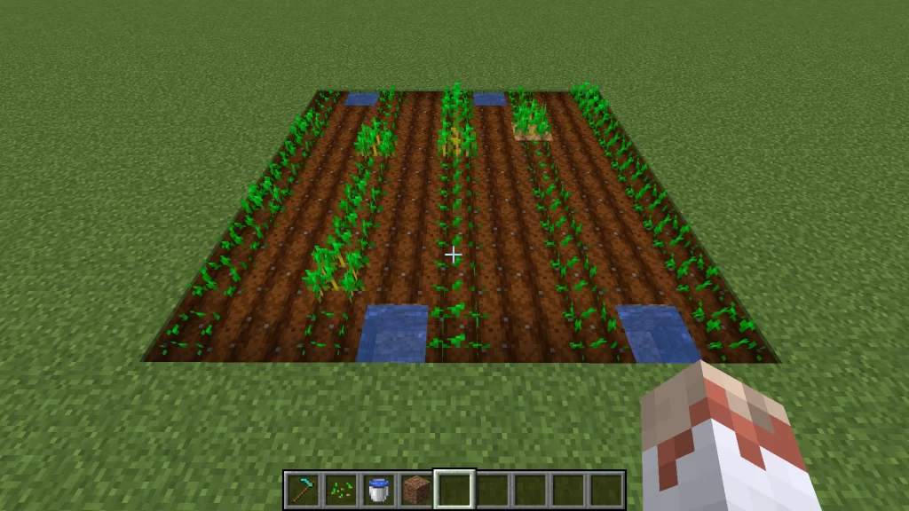 Wheat XP Farm Minecraft