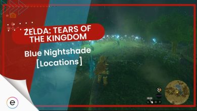 Zelda: Tears of the Kingdom Blue Nightshade