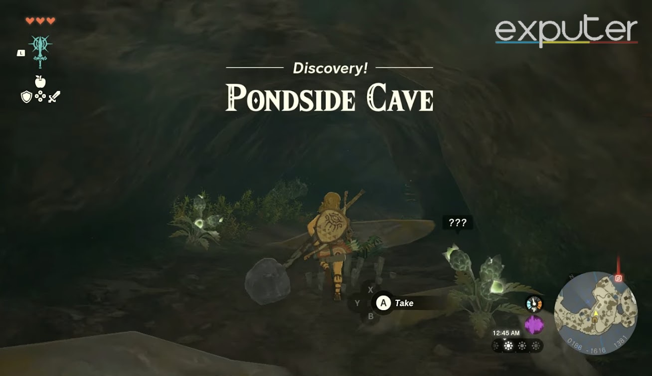 Pondside cave