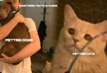 Ghostwire Tokyo: Players Love Dogs