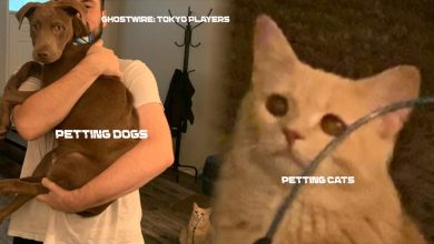 Ghostwire Tokyo: Players Love Dogs