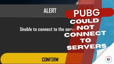 PUBG error could not connect to server fix