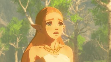 Princess Zelda in Tears of the Kingdom