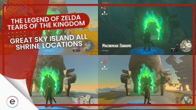 Zelda Tears of the Kingdom Great Sky Island all shrine locations