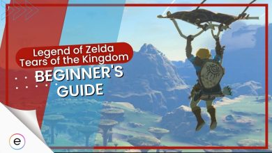 Beginners Guide Zelda Tears of the Kingdom