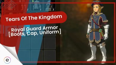 Royal Guard Armor Tears of the Kingdom