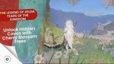 The Legend of Zelda Tears of the Kingdom Cover photo